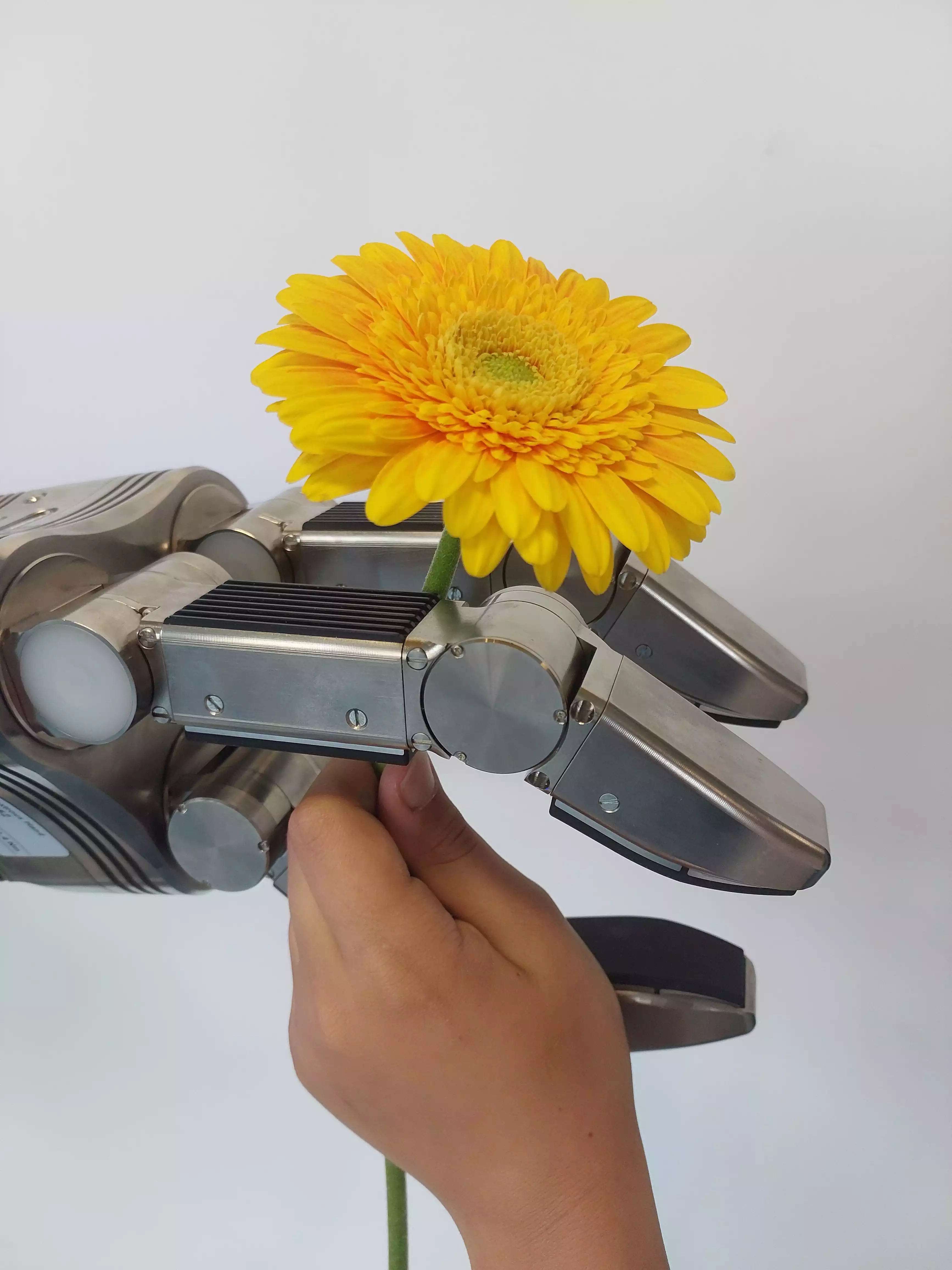 Human giving a flower into a robot's hand